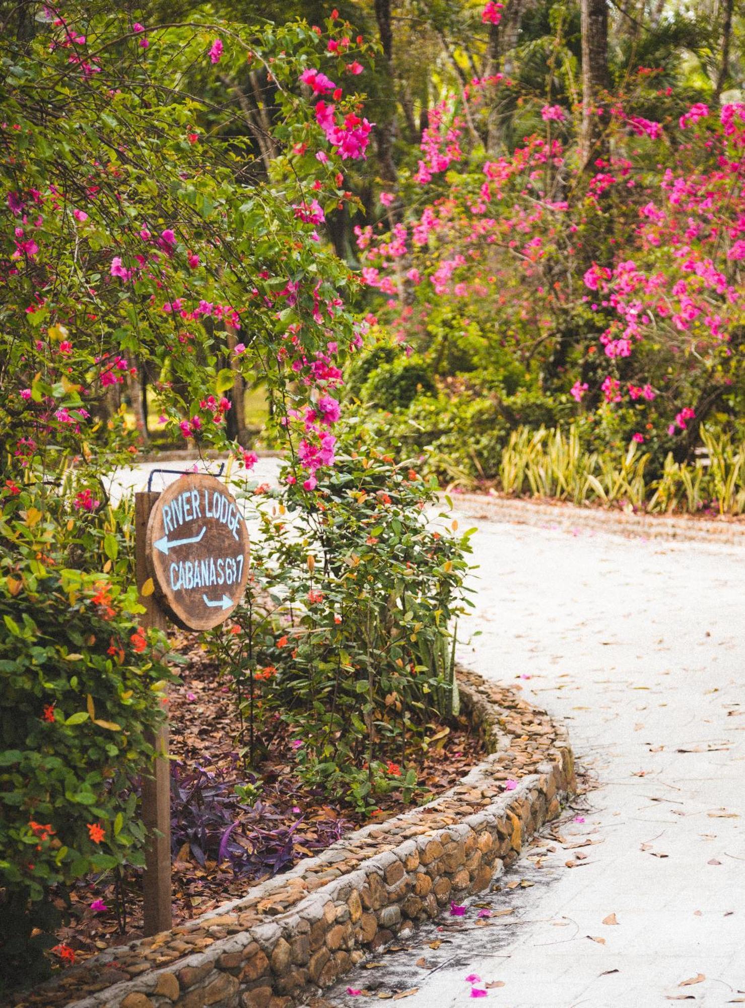 The Mayan Garden Orange Walk Kültér fotó